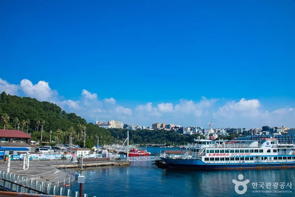 제주_서귀포_서귀포잠수함(12)