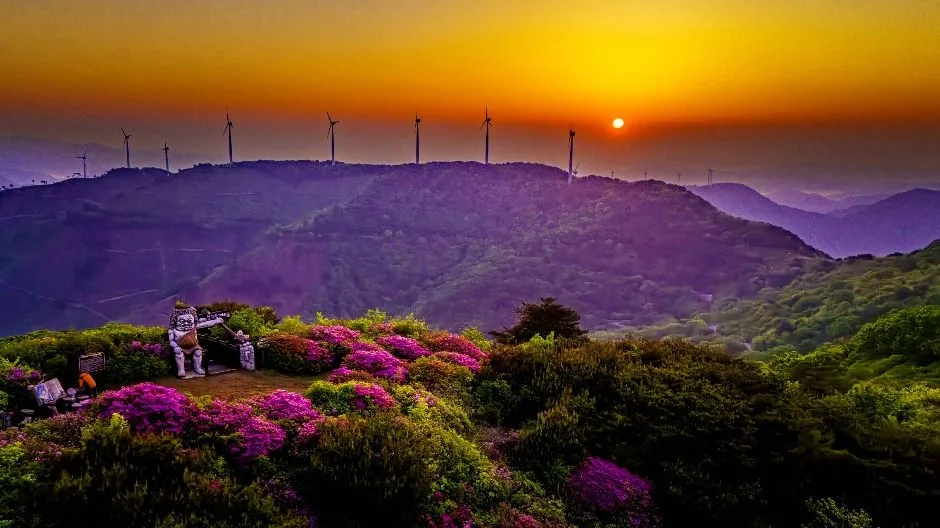 의령_한우산 (5)