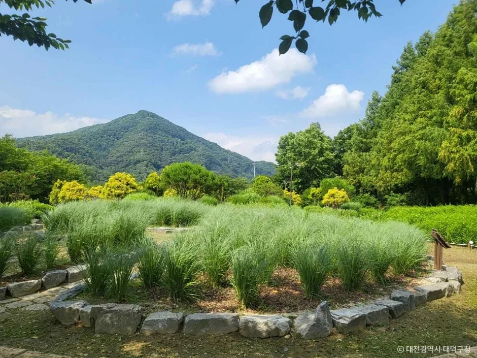 금강로하스 대청공원(암석식물원) (4)