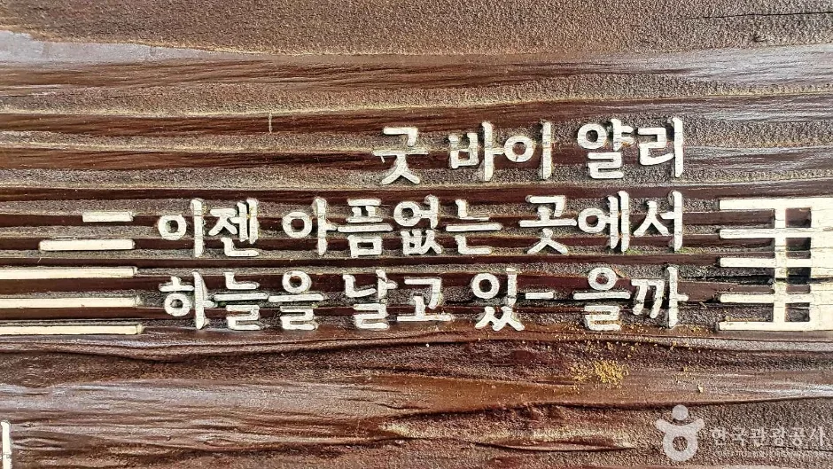 경기_성남_신해철거리(성남) (7)
