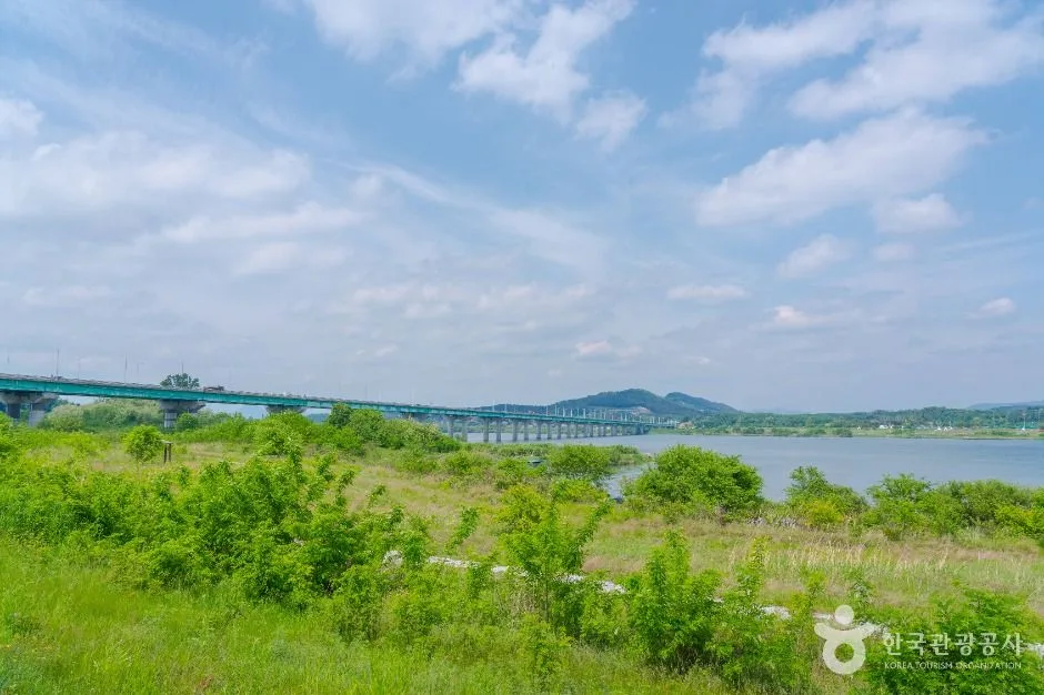 여주_양섬 (3)