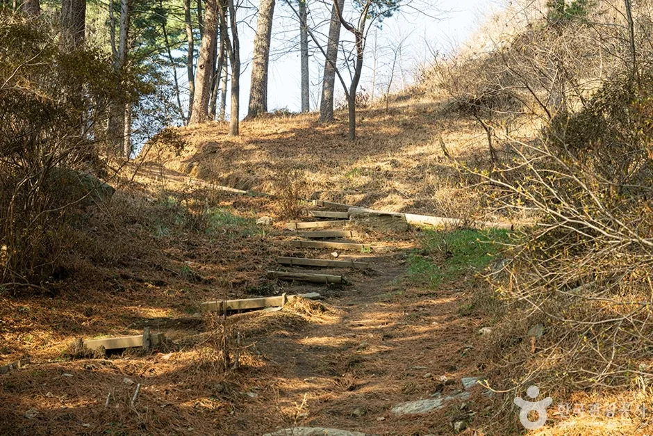 축령산 (5)