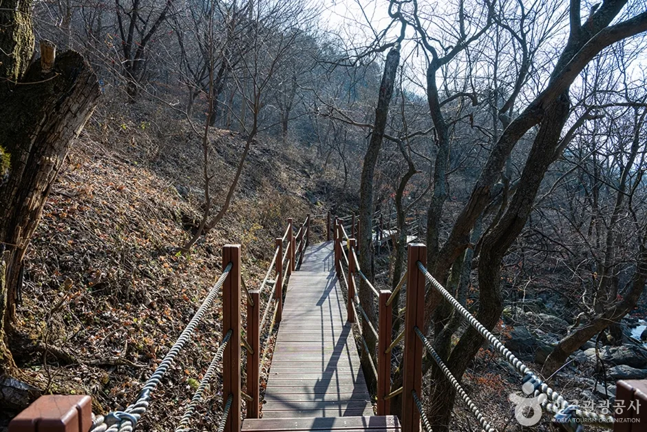 축령산 (2)