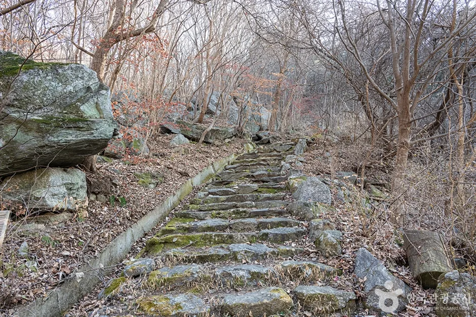 축령산 (3)