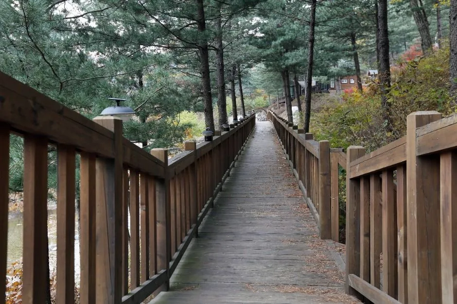 가평_칼봉산자연휴양림_전경 (8)