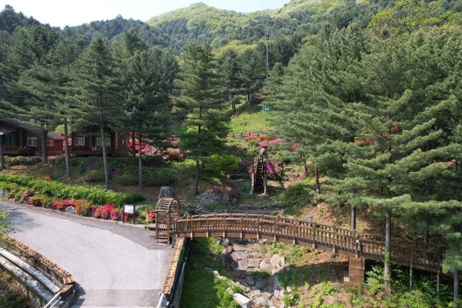 가평_칼봉산자연휴양림_전경 (7)
