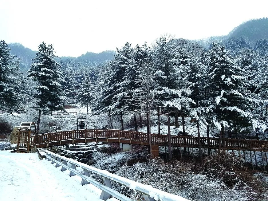 가평_칼봉산자연휴양림_황토방 외관 (1)