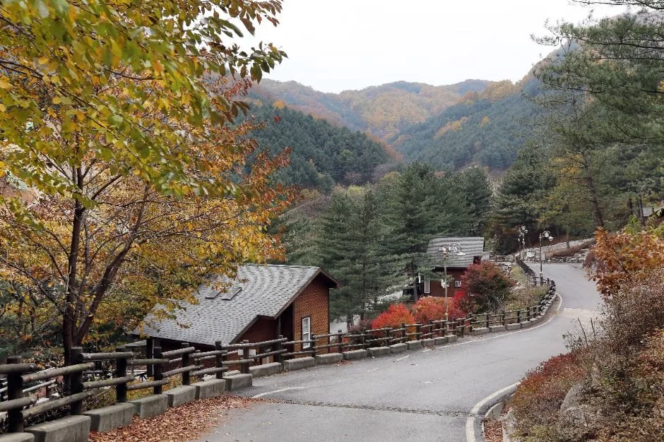 가평_칼봉산자연휴양림_전경 (6)