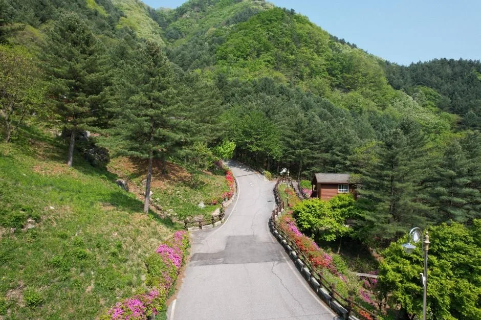 가평_칼봉산자연휴양림_전경 (5)