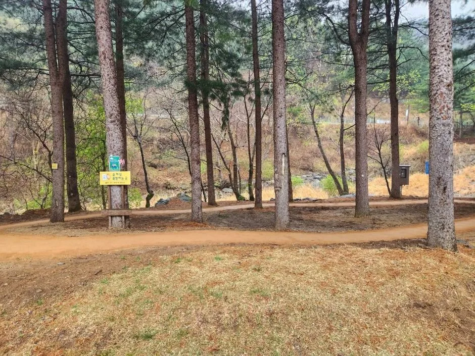 가평_칼봉산자연휴양림_산림휴양관 바비큐장