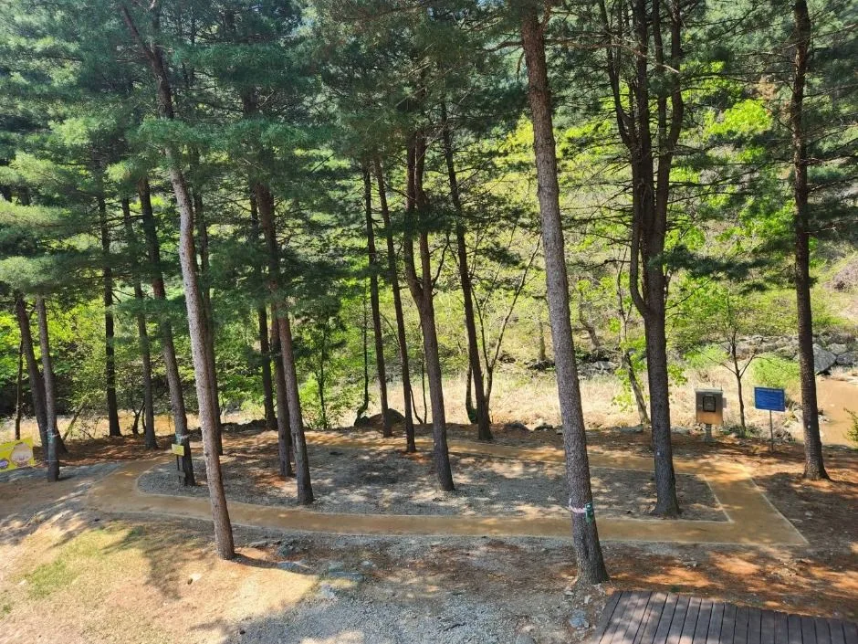 가평_칼봉산자연휴양림_전경 (10)