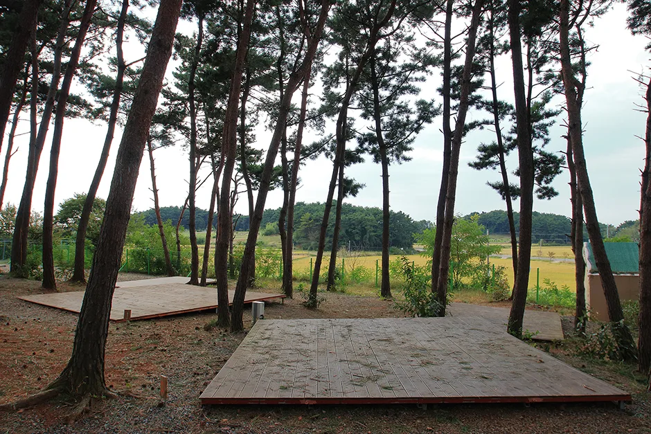 서천_늘푸른캠핑장&글램핑 (2).jpg
