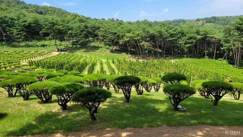 경기_안산_쌍계사(안산) (12)
