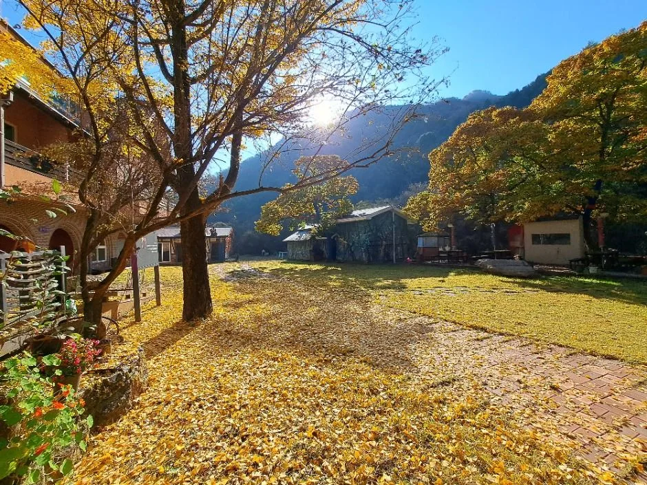 남송미술관 (5)