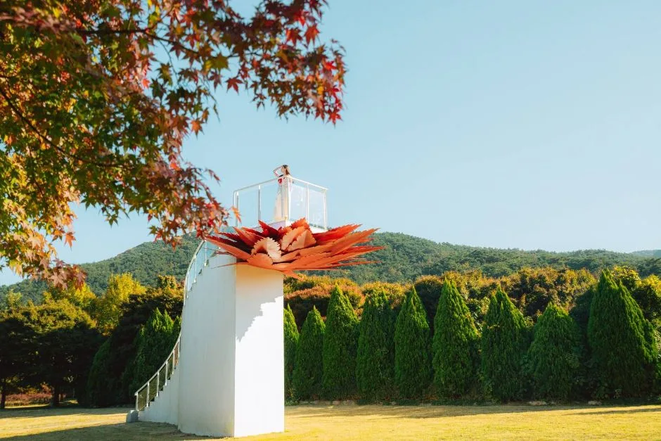 정읍_내장산 단풍생태공원 (1)