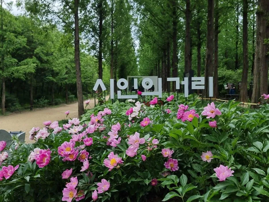 [서울둘레길 15코스] 노을·하늘공원코스 (7)