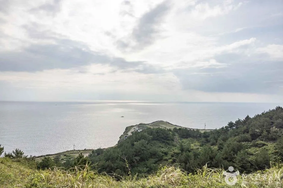 제주_송악산전망대 (6)