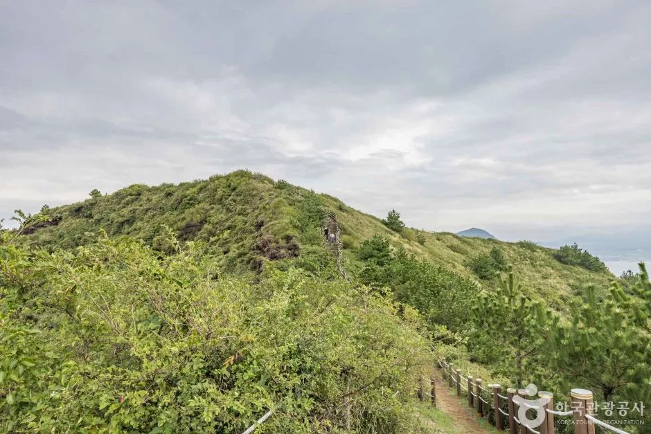 제주_송악산전망대 (1)