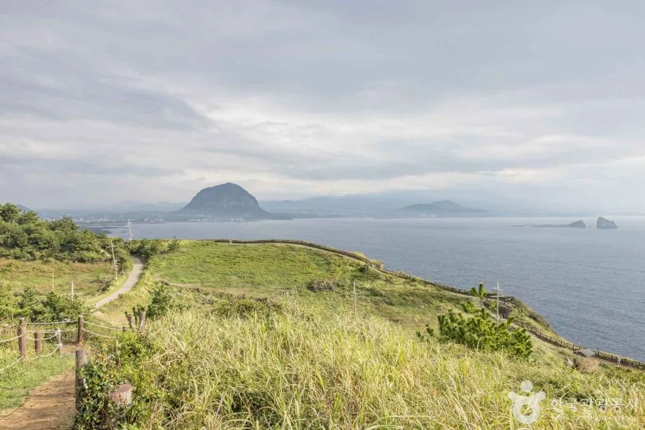 제주_송악산전망대 (7)