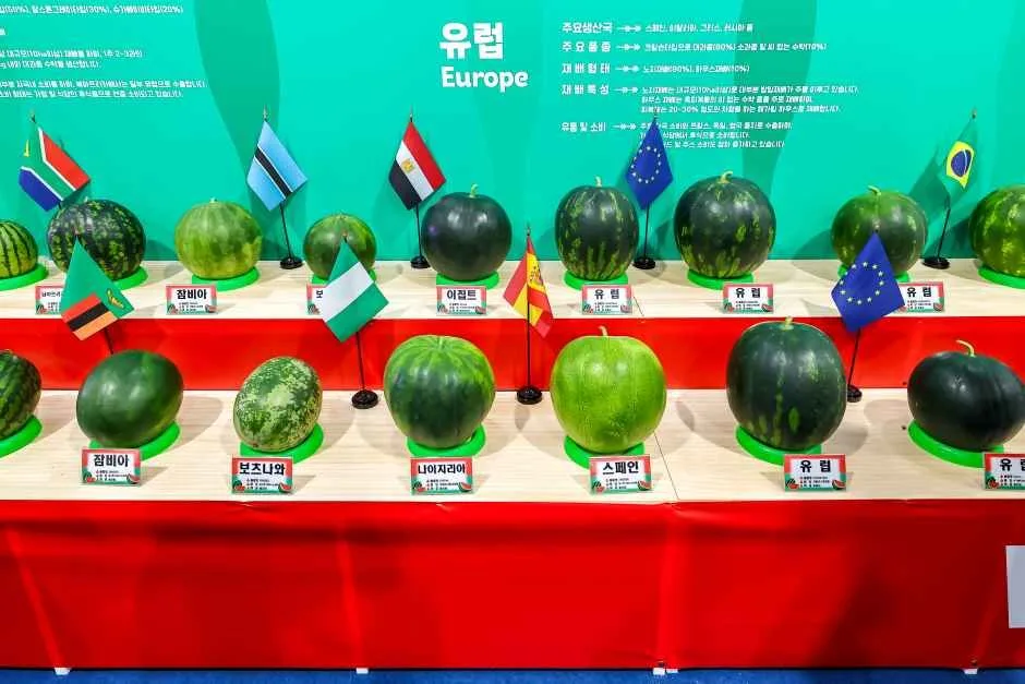 2026 함안세계수박축제 (1).jpg