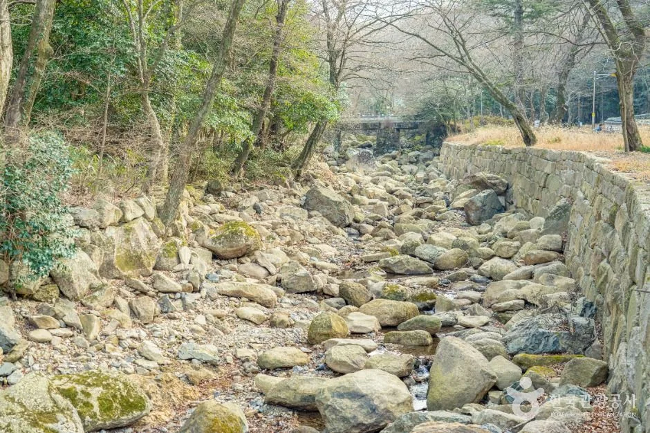 해남_대흥사계곡 (7)