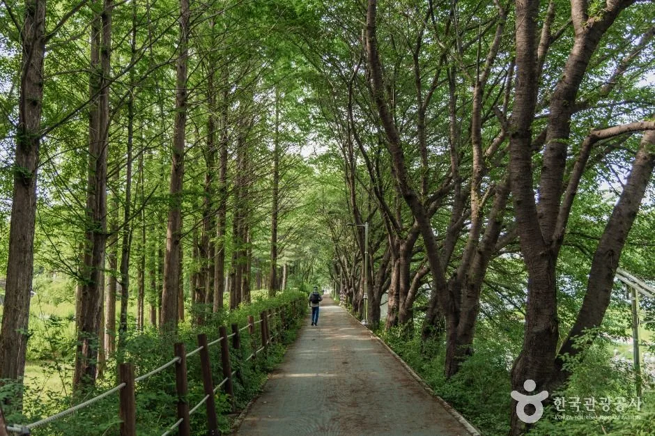 서울_여의천 (3)
