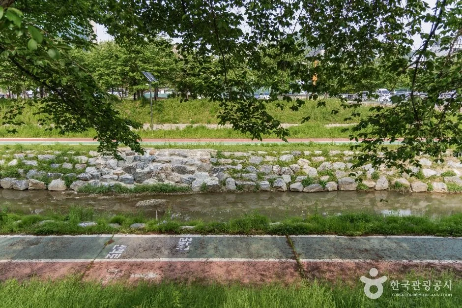 서울_여의천 (1)