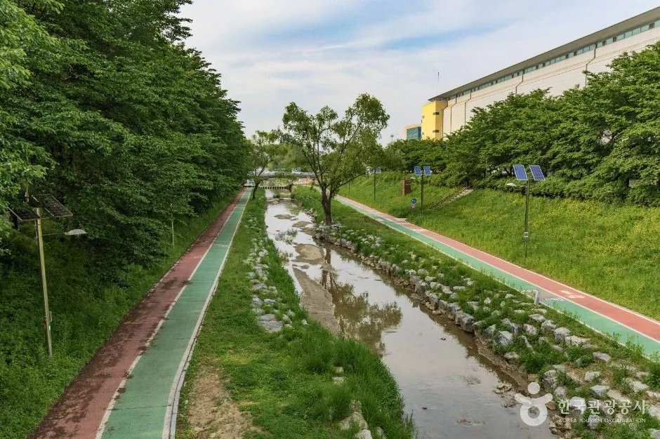 서울_여의천 (2)