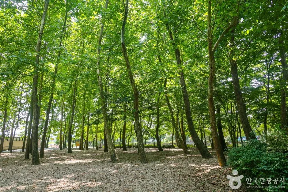 광주_광산_송산유원지_외부_6.jpg