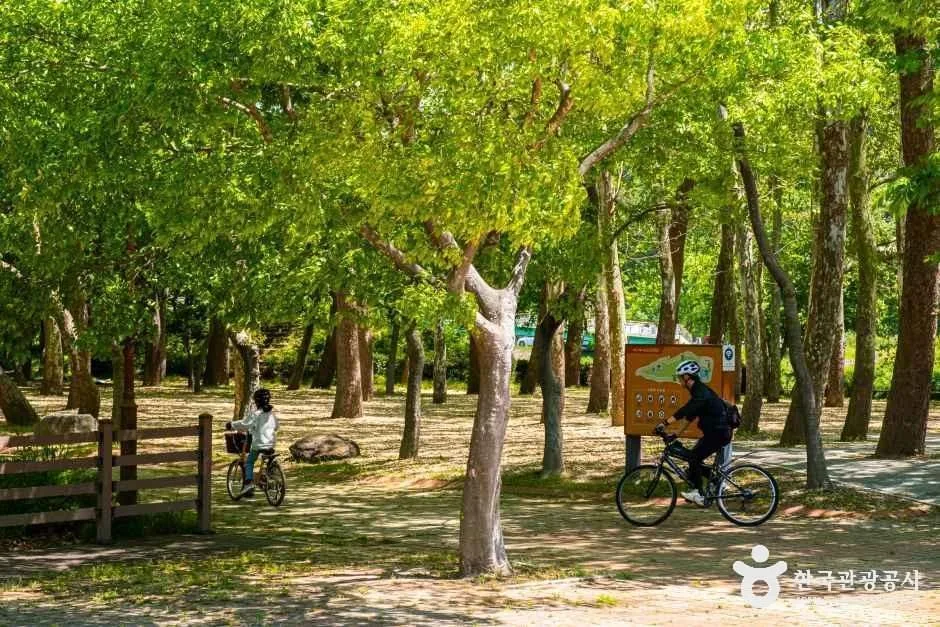 송산유원지 (1)