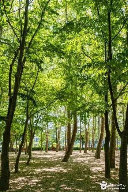 송산유원지 (6)