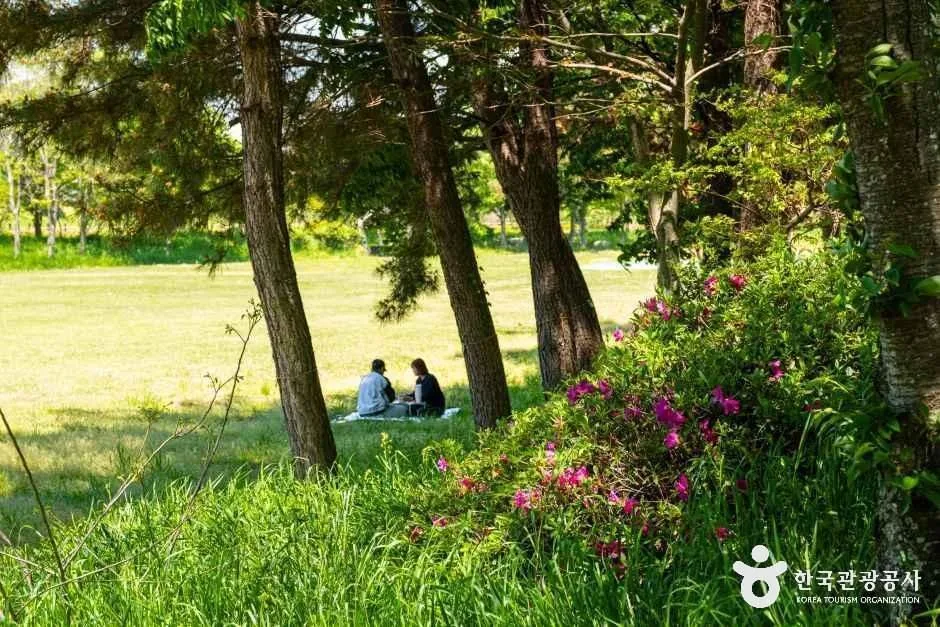 송산유원지 (5)