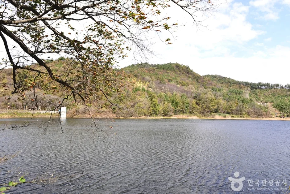 전북_군산_월명호수 (7)