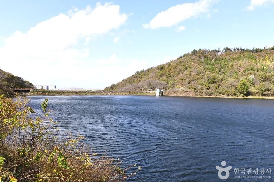 전북_군산_월명호수 (1)