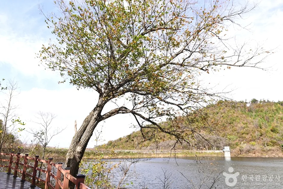 전북_군산_월명호수 (8)