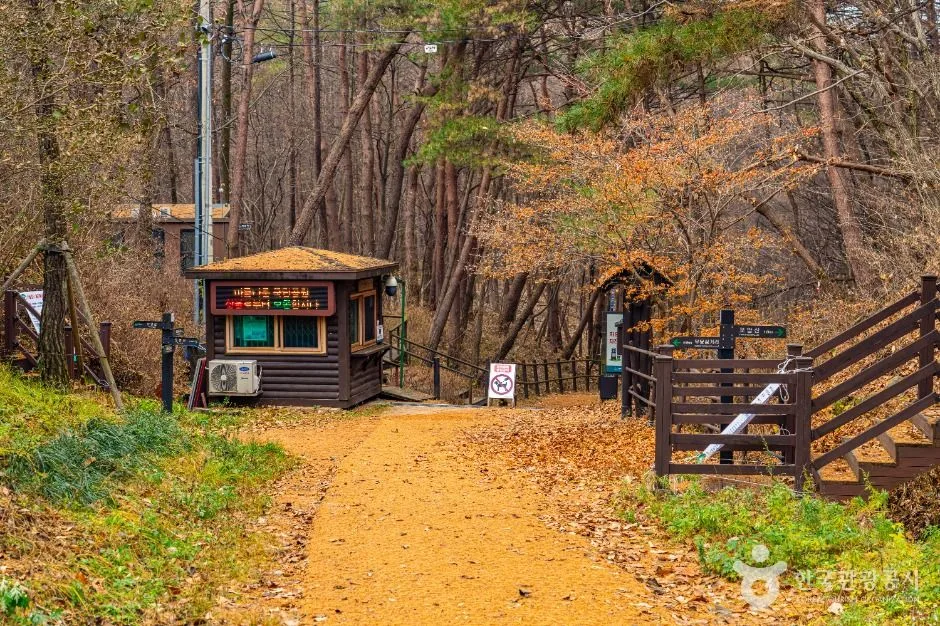 충주_하늘재 (7)