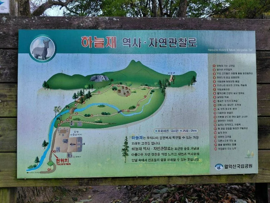 충주_하늘재 (5)