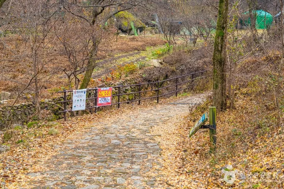 충주_하늘재 (8)