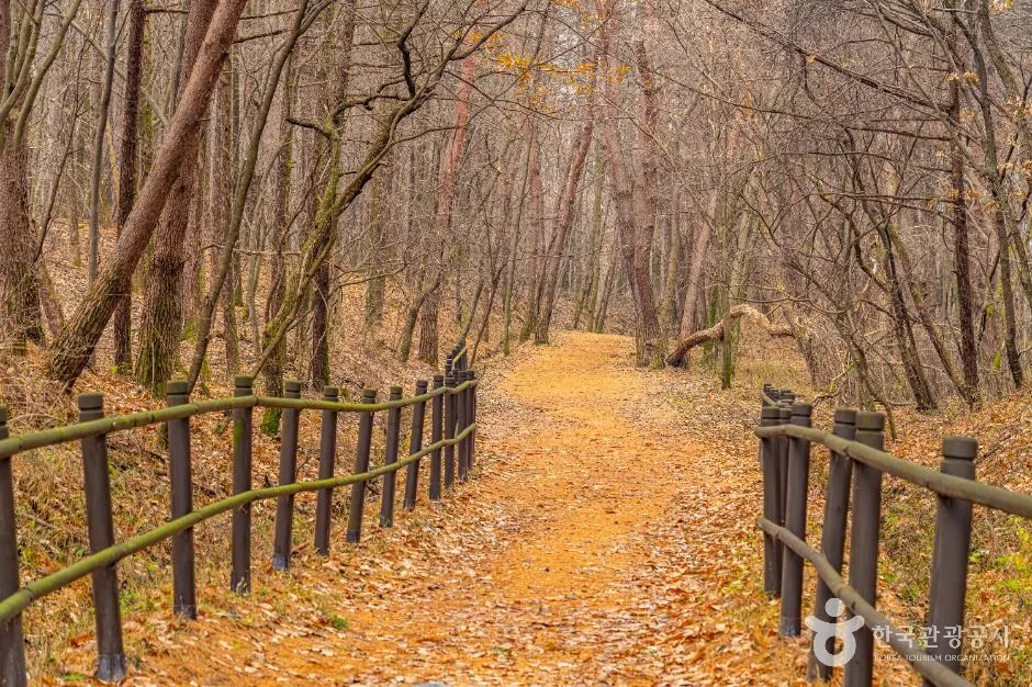 충주_하늘재 (2)