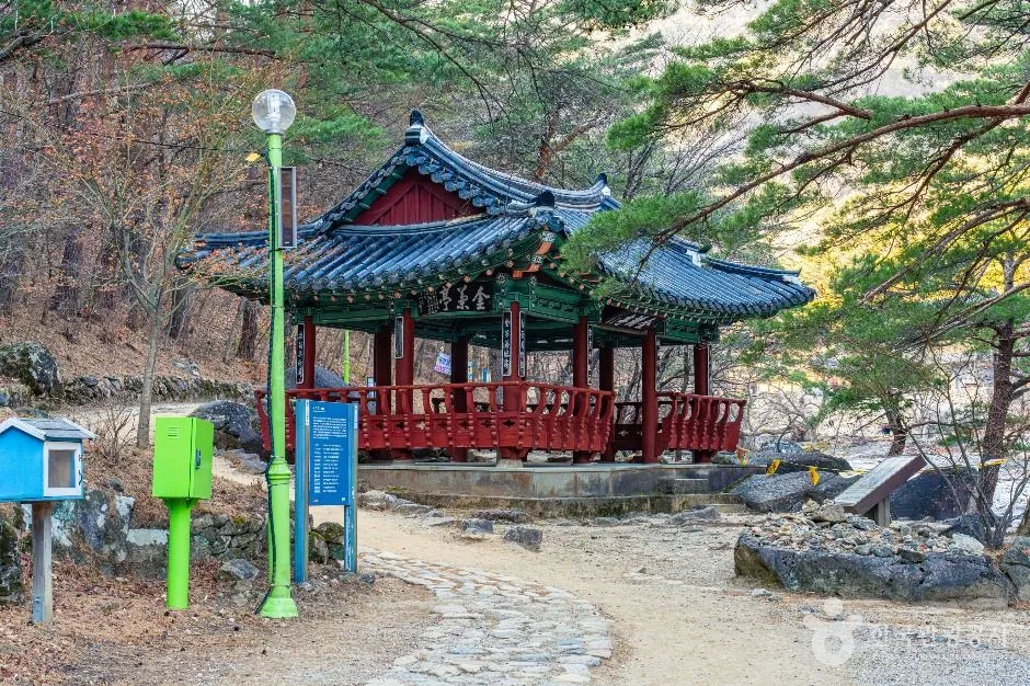 동해_금란정 (1)