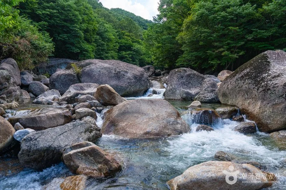 피아골계곡