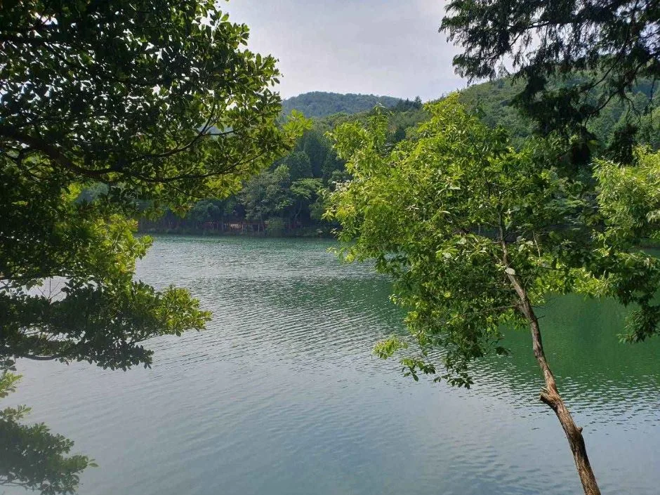 여수_미평산림욕장 (8)