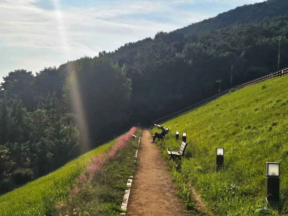 여수_미평산림욕장 (3)
