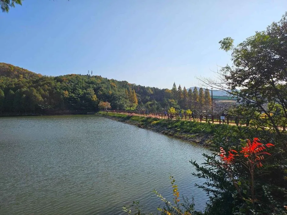 여수_미평산림욕장 (1)