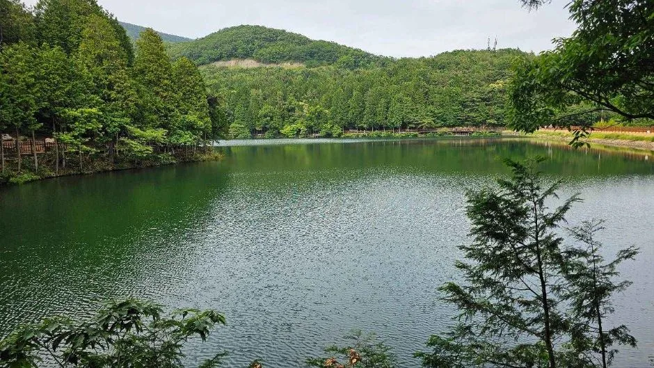여수_미평산림욕장 (9)