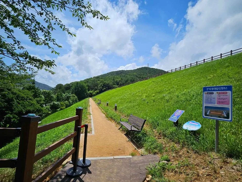 여수_미평산림욕장 (13)