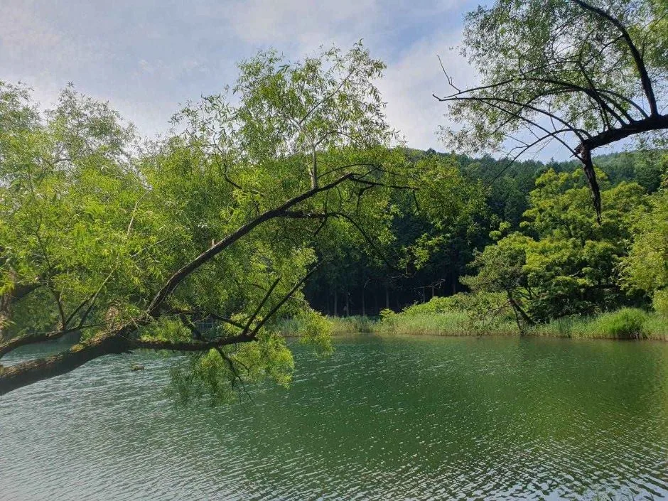 여수_미평산림욕장 (7)