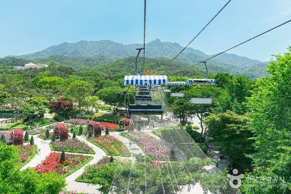 과천_서울대공원 (5)