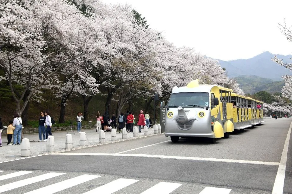 서울대공원