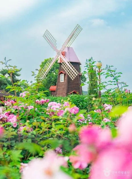 과천_서울대공원 (2)